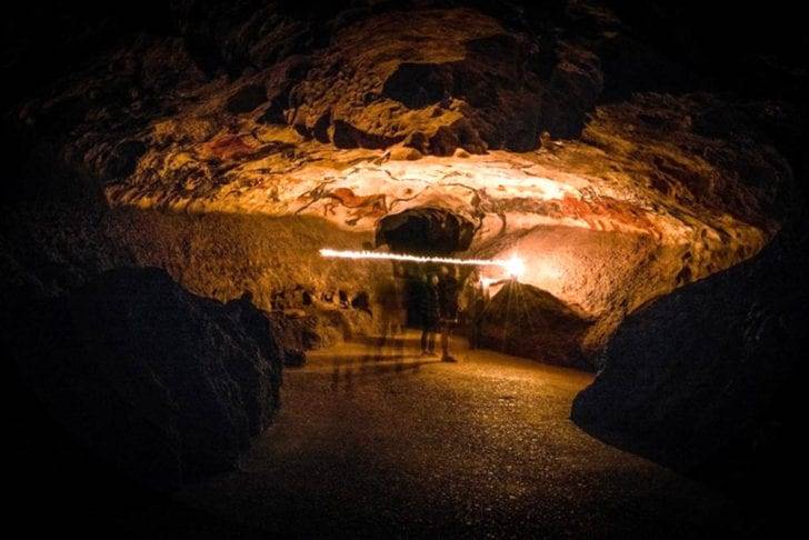 Cum a descoperit un câine picturile peșterii Lascaux