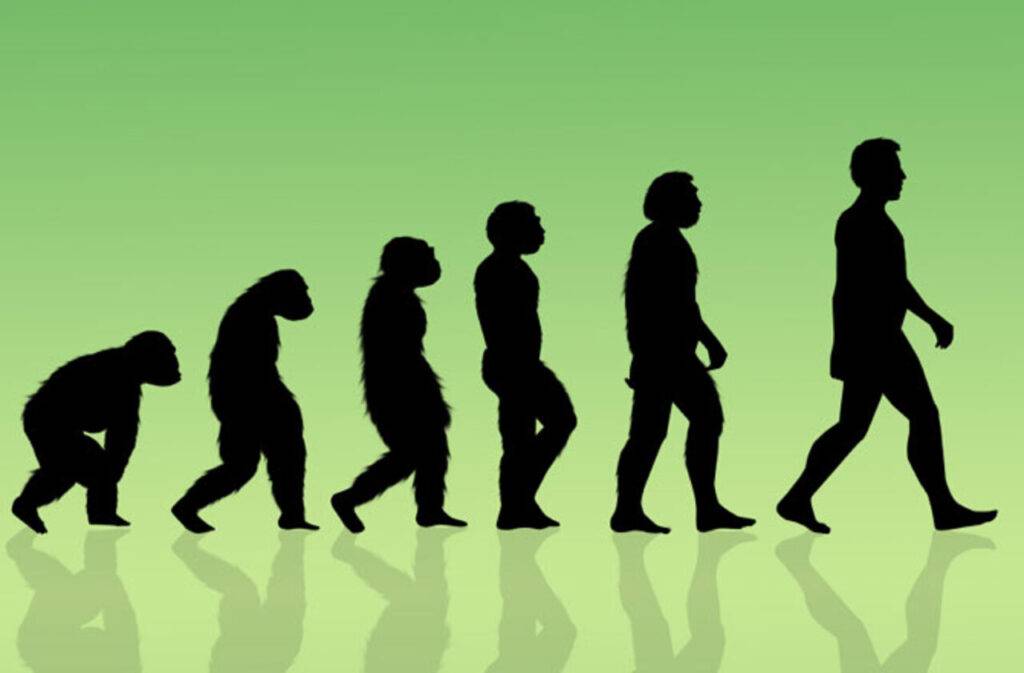 Cum a început limbajul și cum a evoluat