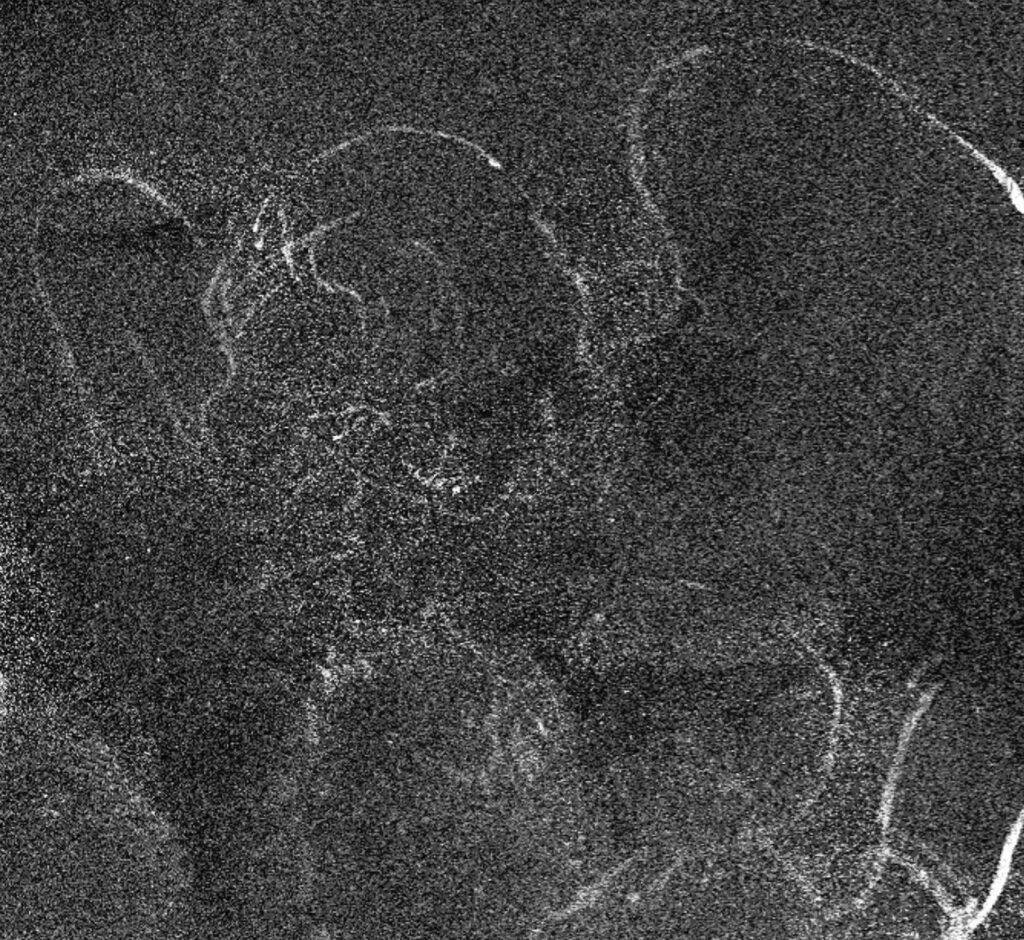 Pruncul Iisus ascuns într-o pictură de-a lui Leonardo da Vinci. Secretul din tabloul „Fecioara între stânci”