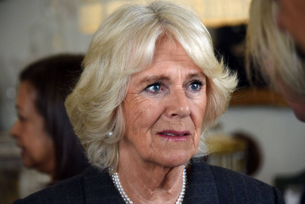 Camilla, soția prințului Charles, a fost înșelată de către primul ei soț cu prințesa Anna
