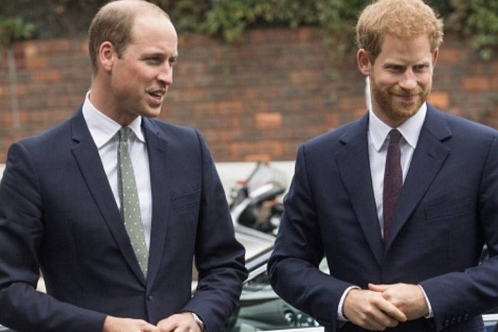 S-au aflat o parte din motivele pentru care William și Harry nu vor mai putea avea o relație apropiată