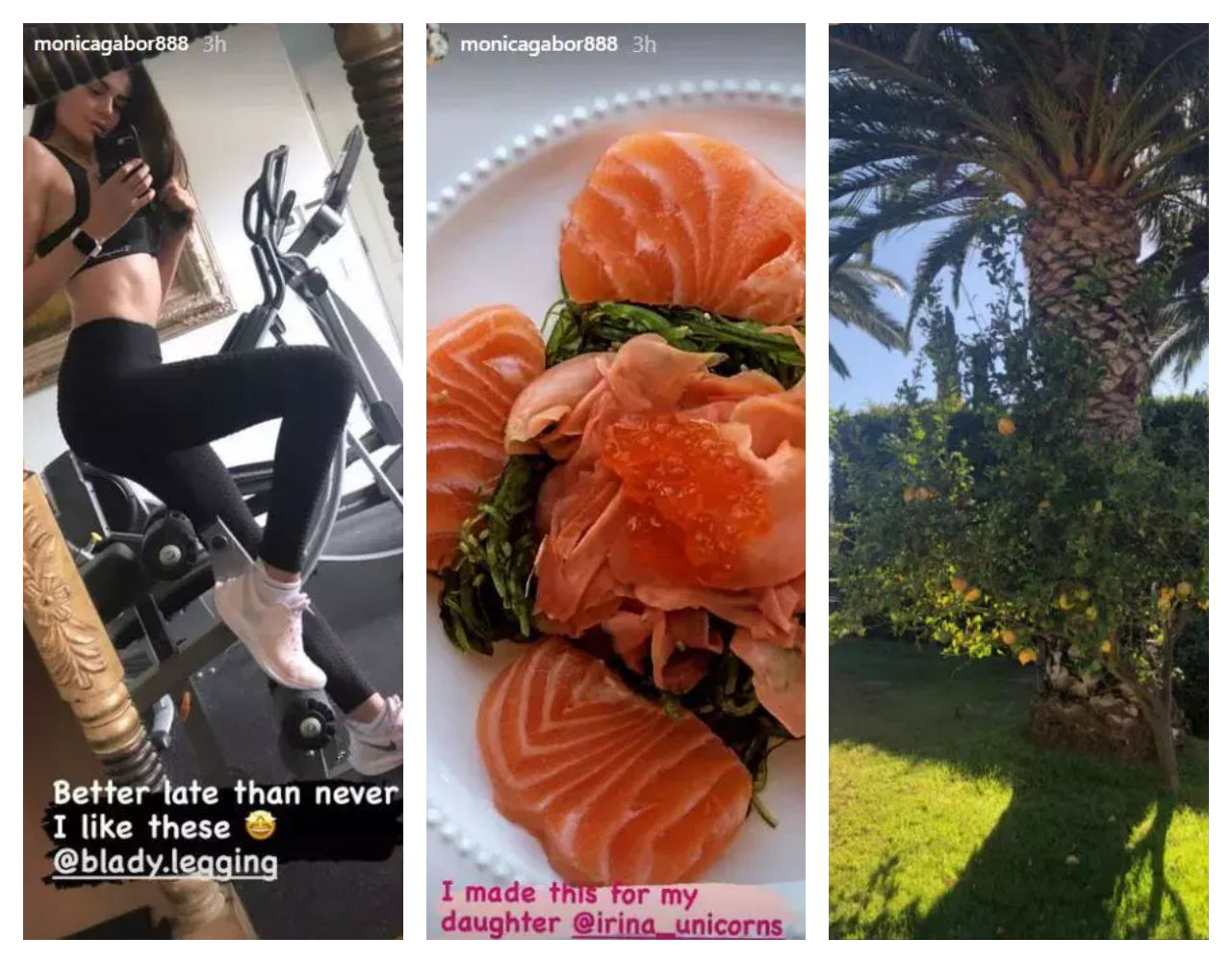Monica Gabor a postat primele fotografii din vila din Malibu, unde locuiește alături de Mr. Pink și copiii