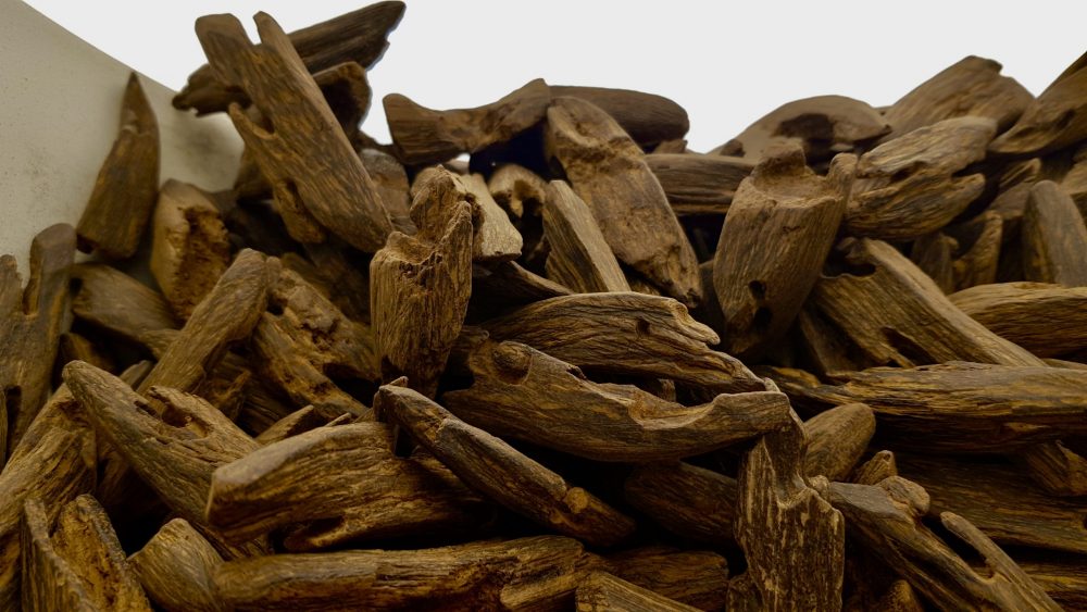 Parfumurile lemnoase - O semnătură asiatică pentru o senzație olfactivă discretă și plăcută!