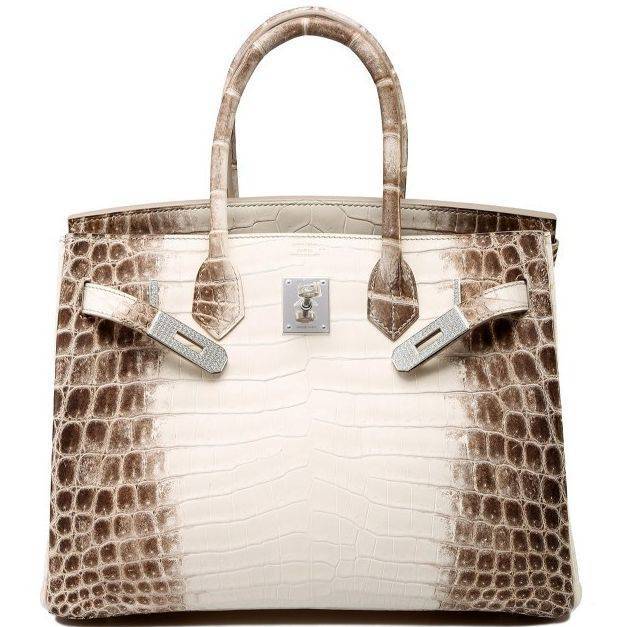 Hermes Himalaya Birkin