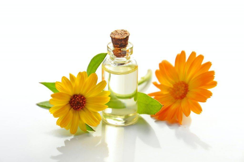 Parfumurile florale au deveni apreciate în ultima vreme atât de femei, cât și de bărbați