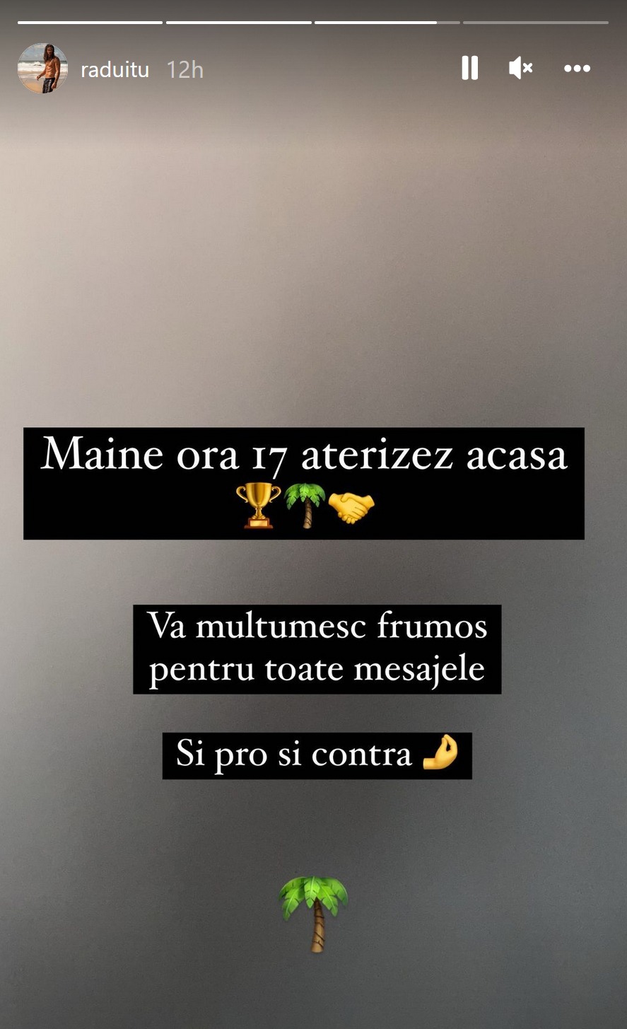 Radu Itu se întoarce în România