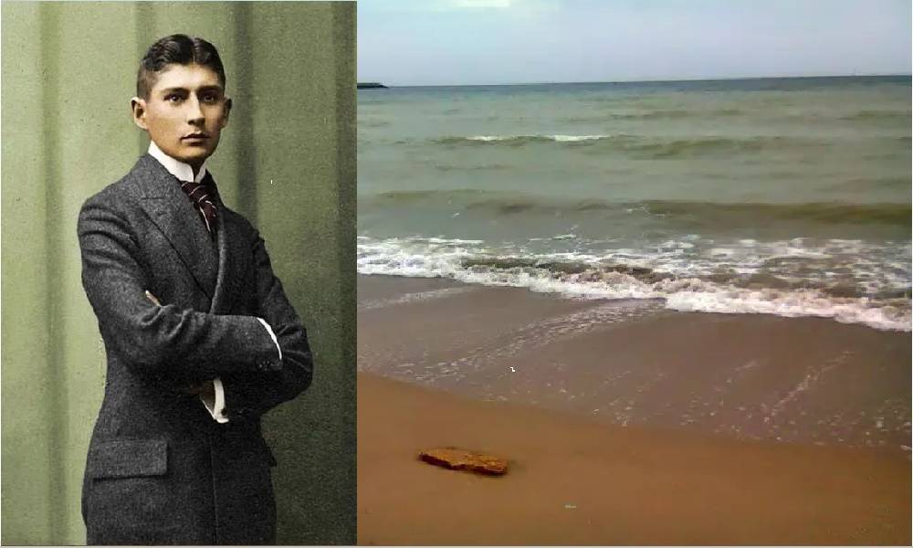 În căutarea autenticității cu Haruki Murakami. O recenzie pentru „Kafka pe malul mării”